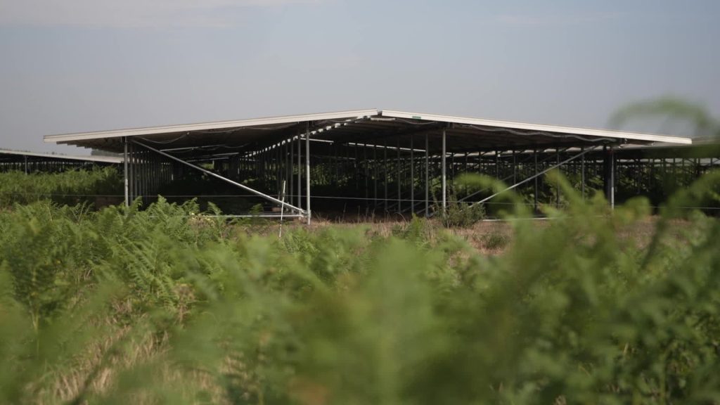 découvrez les enjeux liés à l'abandon des parcs photovoltaïques, une problématique croissante dans le domaine des énergies renouvelables. explorez les causes, les conséquences environnementales et économiques, ainsi que les solutions possibles pour une transition énergétique durable.