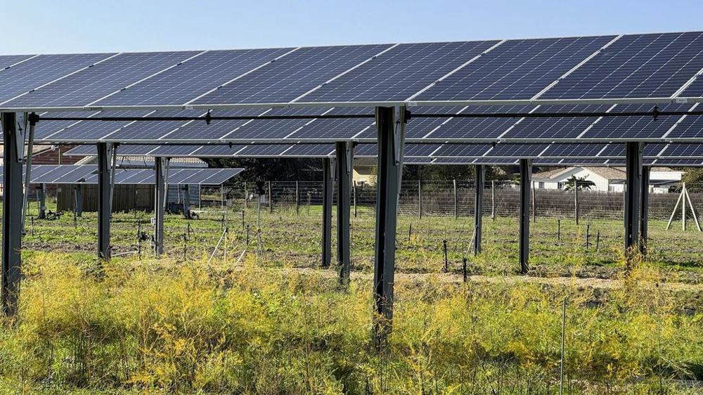 découvrez comment mutualiser l'énergie solaire pour optimiser les ressources, réduire les coûts et favoriser une transition énergétique durable. rejoignez le mouvement vers une consommation responsable et collective de l'énergie solaire.